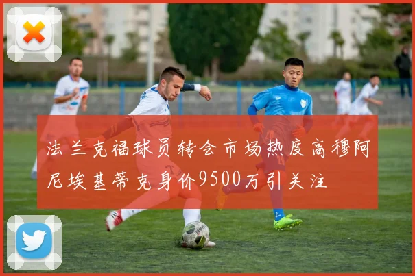 法兰克福球员转会市场热度高穆阿尼埃基蒂克身价9500万引关注